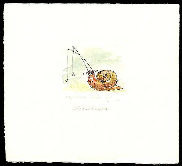 Stippschneck -  zurück zur Übersicht hier klicken